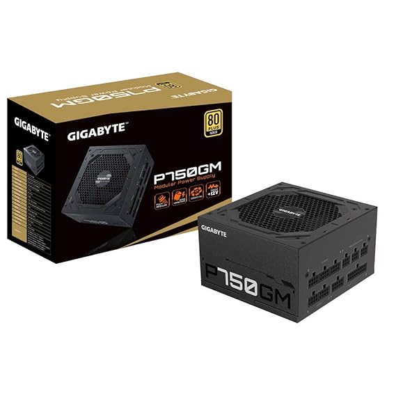GIGABYTE P750GM SMPS (MODULAR)