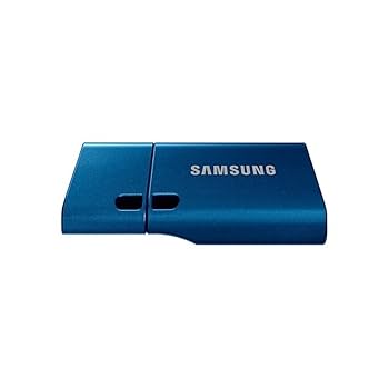 SAMSUNG FLASH DRIVE 256GB TYPE-C (Storage/SSD)