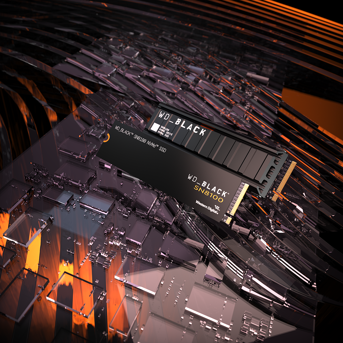 WD BLACK SN8100 NVMe Gen 5 WDS400T1X0M-00CMT0) 4TB SSD wo Heatsink(