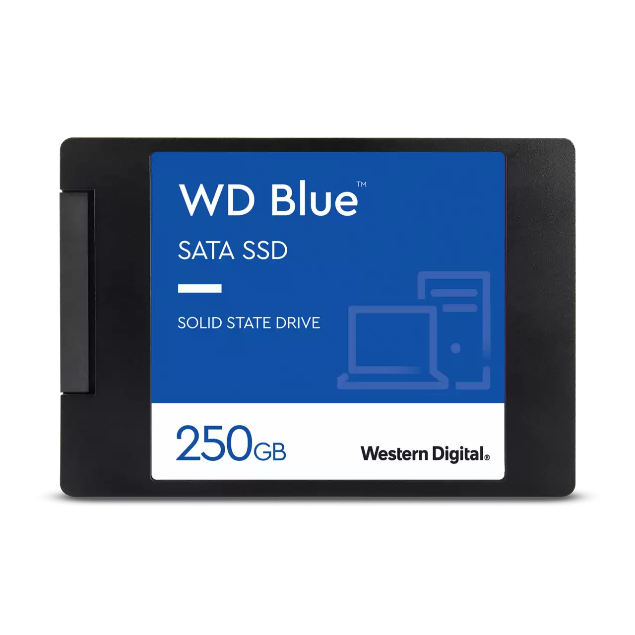 WD Blue 3D NAND 250 GB (WDS250G3B0A-00AXR0)